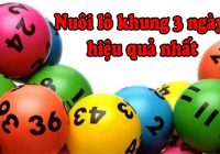 bật mí cách nuôi lô 3 ngày hiệu quả dễ trúng nhất